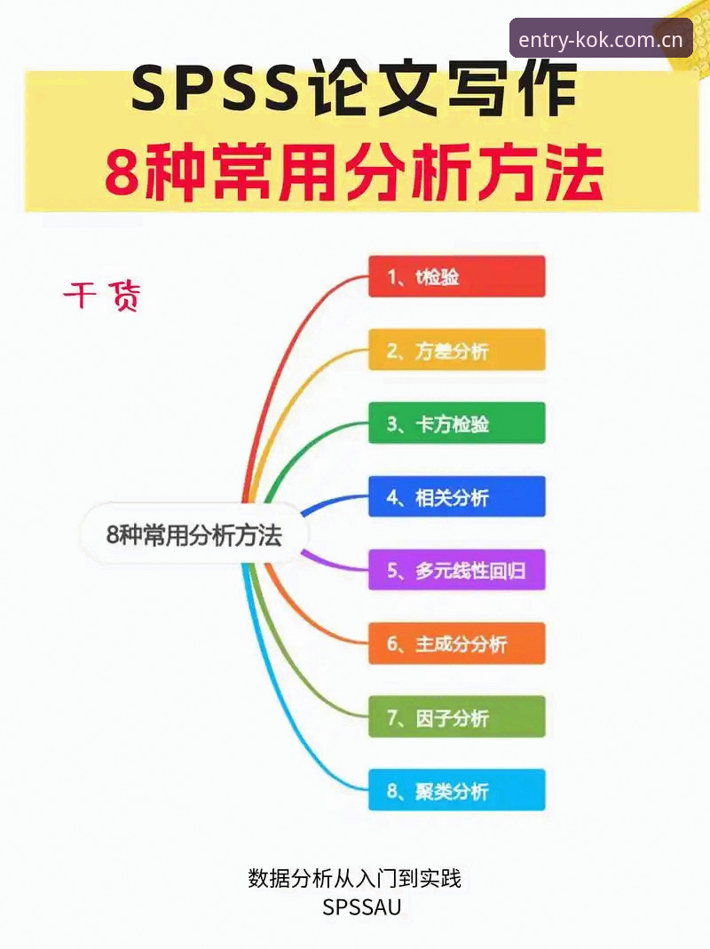KOK中欧平台数据分析使用教程：从新手到高手的完整操作指南
